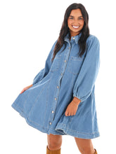 Blue Ridge Denim Mini Dress